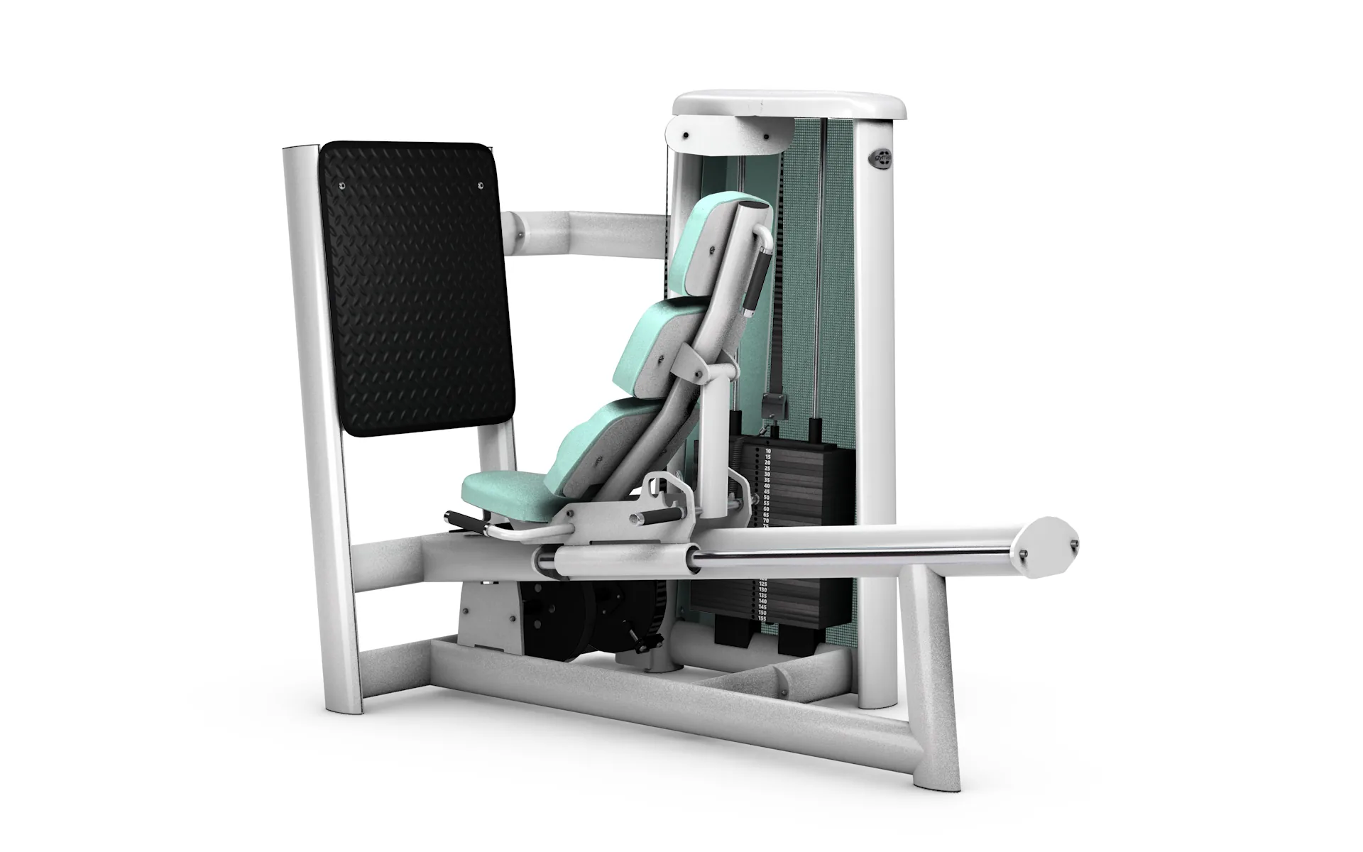gym80 3258