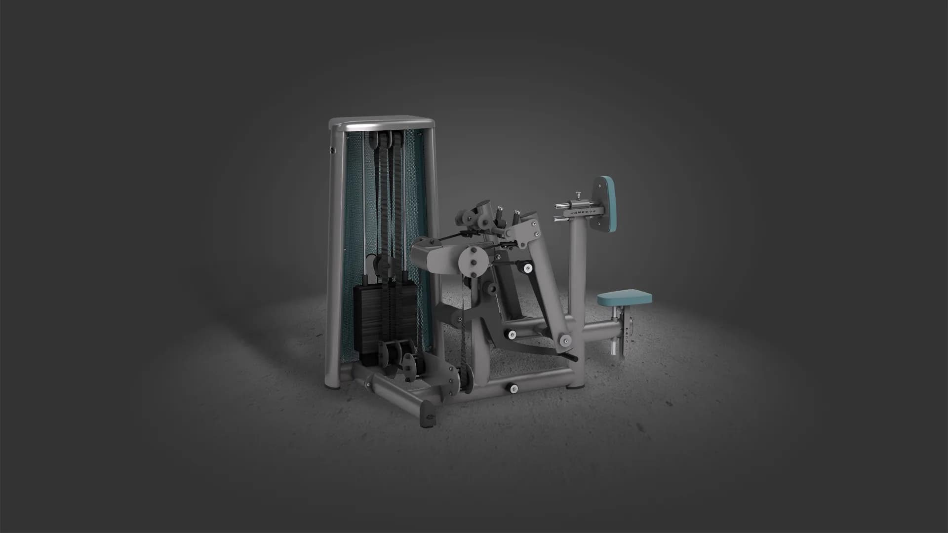 Sygnum dual