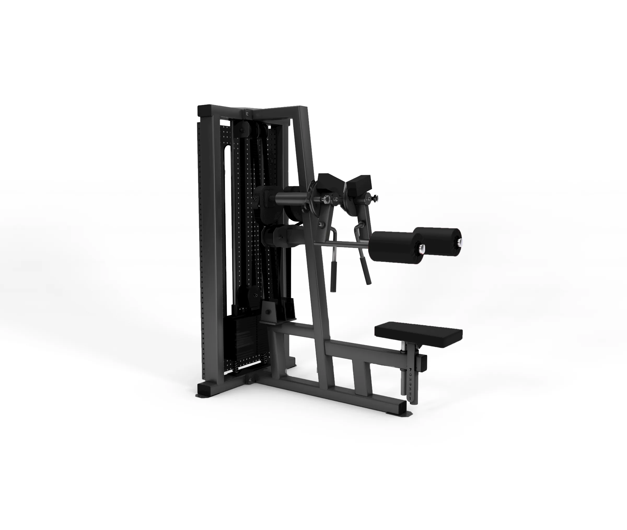 Deltoid Raise