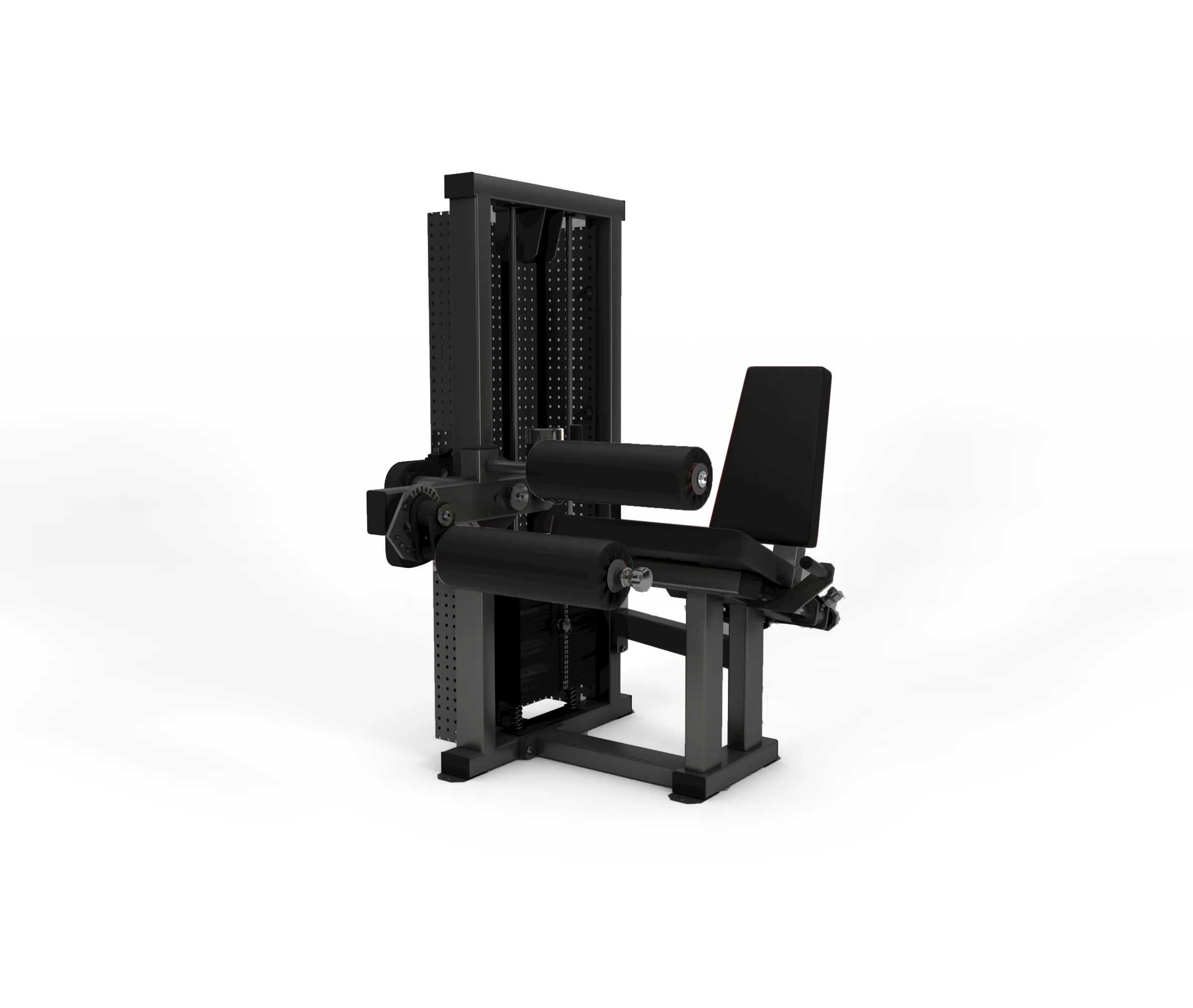 Seated Leg Curl
